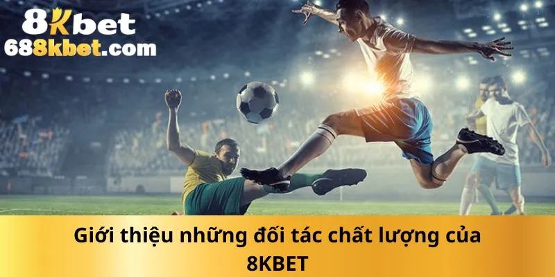 gioi-thieu-nhung-doi-tac-chat-luong-cua-8kbet