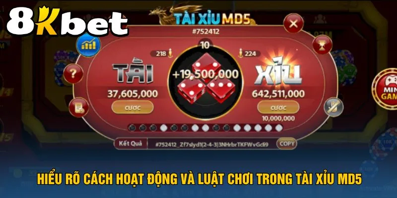 hieu-ro-cach-hoat-dong-va-luat-choi-trong-tai-xiu-md5